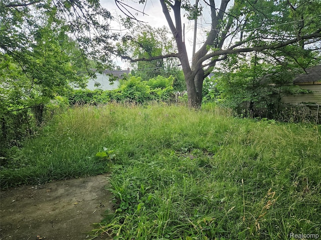 12450 Lansdowne St, Detroit, MI 48224 - photo 14