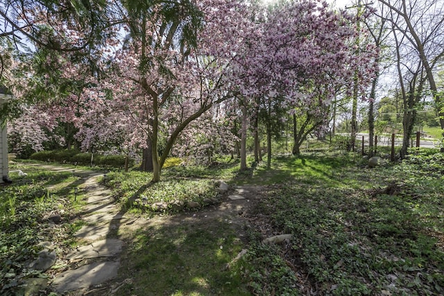 3122 Geddes Ave, Ann Arbor, MI 48104 - view of landscape