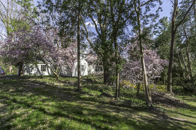 3122 Geddes Ave, Ann Arbor, MI 48104 - view of yard