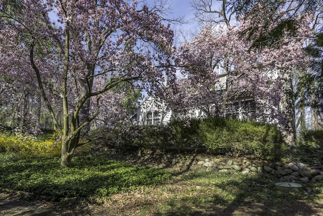 3122 Geddes Ave, Ann Arbor, MI 48104 - view of nature