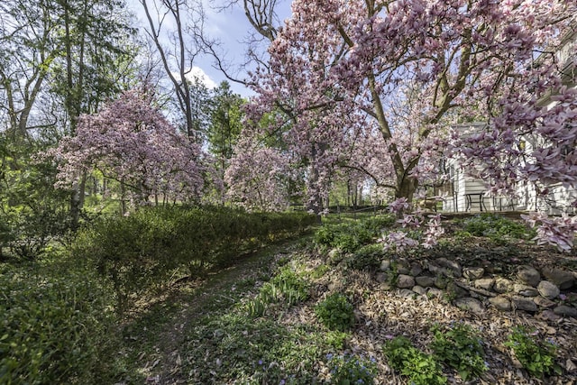 3122 Geddes Ave, Ann Arbor, MI 48104 - view of landscape