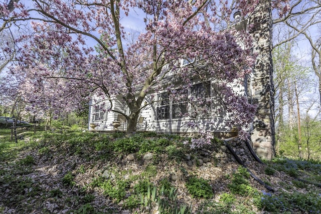3122 Geddes Ave, Ann Arbor, MI 48104 - view of yard