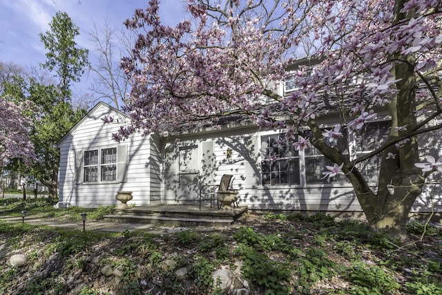 3122 Geddes Ave, Ann Arbor, MI 48104 - exterior space