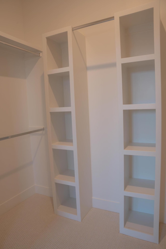 8120 Byron Depot Dr SW, Byron Center, MI 49315 - spacious closet with carpet