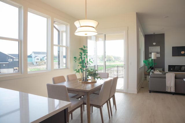 8120 Byron Depot Dr SW, Byron Center, MI 49315 - dining space featuring light wood-style flooring and baseboards