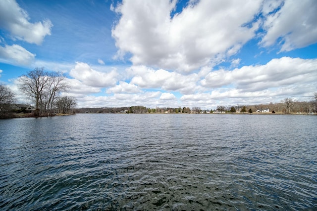 14073 Walz Blvd, Brooklyn, MI 49230 - view of water feature