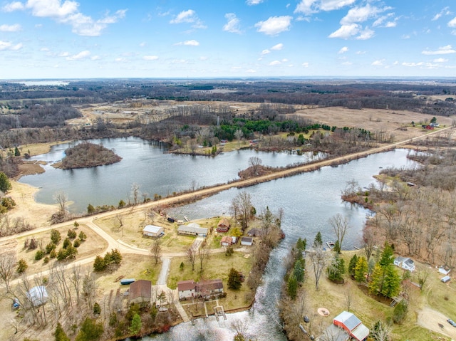 14073 Walz Blvd, Brooklyn, MI 49230 - bird's eye view with a water view