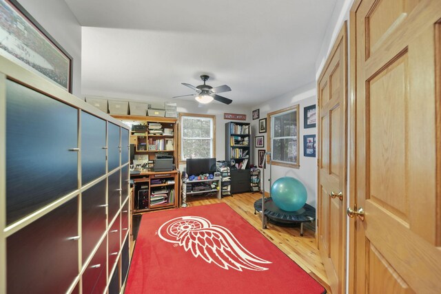 14073 Walz Blvd, Brooklyn, MI 49230 - home office featuring a ceiling fan and wood finished floors