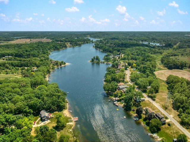 14073 Walz Blvd, Brooklyn, MI 49230 - birds eye view of property featuring a wooded view and a water view