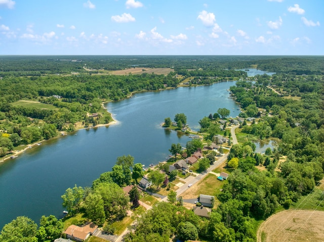 14073 Walz Blvd, Brooklyn, MI 49230 - birds eye view of property featuring a water view and a view of trees