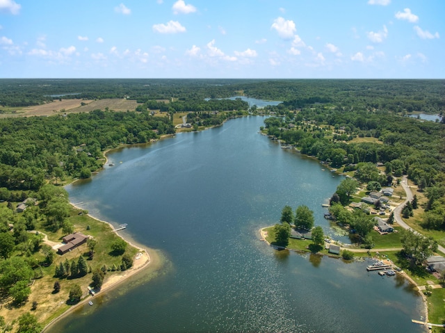 14073 Walz Blvd, Brooklyn, MI 49230 - birds eye view of property with a forest view and a water view