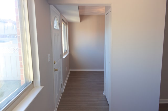 24951 Mayfair St Unit 20, Flat Rock, MI 48134 - hall with baseboards, dark wood-style floors, and a healthy amount of sunlight