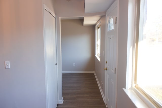 24951 Mayfair St Unit 20, Flat Rock, MI 48134 - hallway with dark wood-style floors and baseboards