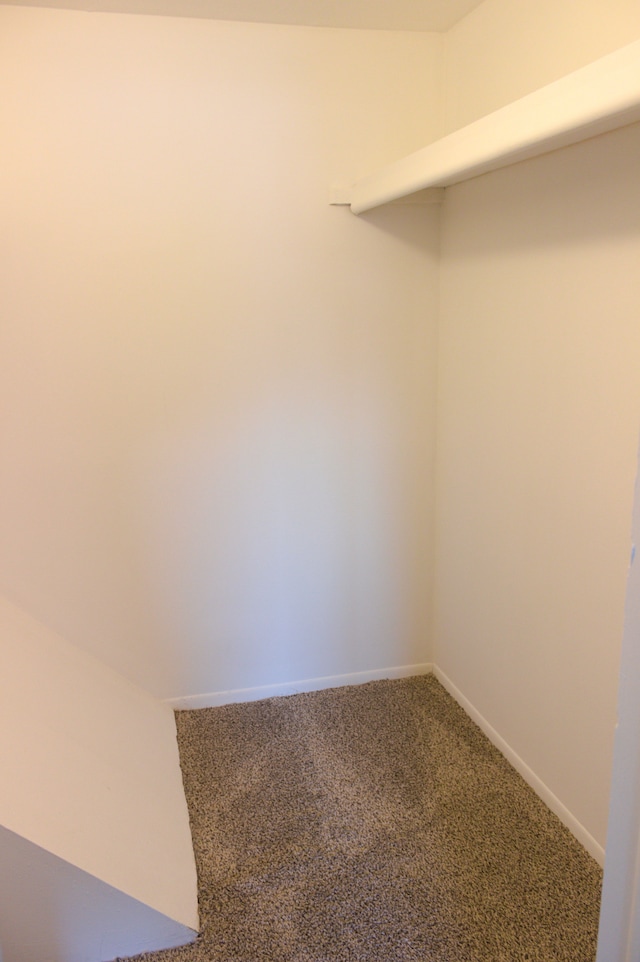 24951 Mayfair St Unit 20, Flat Rock, MI 48134 - spacious closet featuring carpet flooring