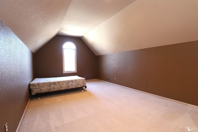 7241 Hidden Valley Dr, Lambertville, MI 48144 - unfurnished bedroom featuring lofted ceiling, a textured wall, baseboards, a textured ceiling, and carpet floors