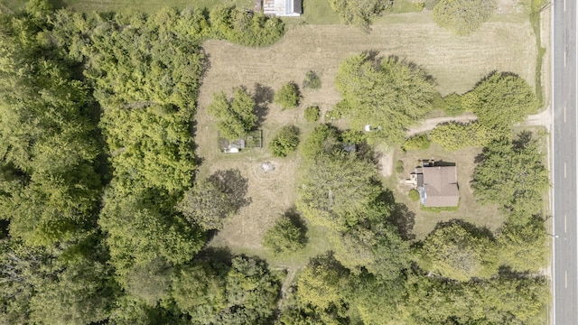 5366 Sawyer Rd, Sawyer, MI 49125 - bird's eye view
