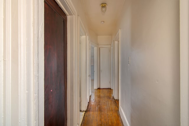 hall with wood-type flooring