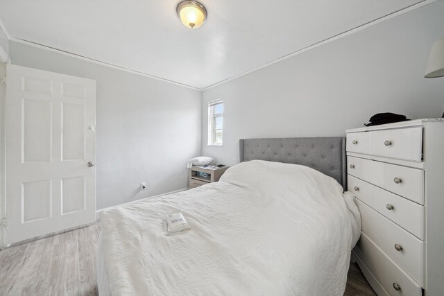 15032 Snowden St, Detroit, MI 48227 - photo 23