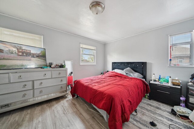 15032 Snowden St, Detroit, MI 48227 - photo 25