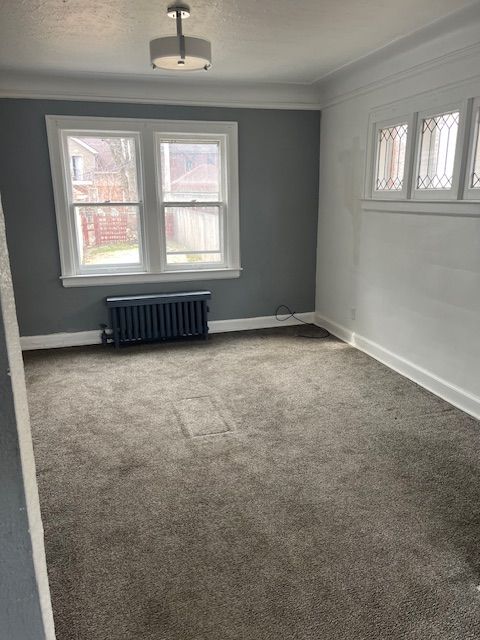 15819 Wisconsin St, Detroit, MI 48238 - photo 5