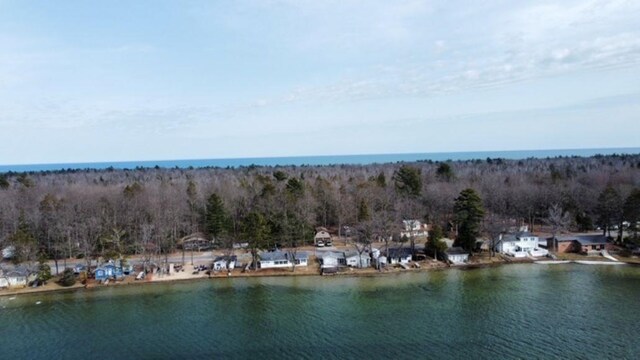 4432 E Cedar Lake Dr, Greenbush, MI 48738 - photo 4