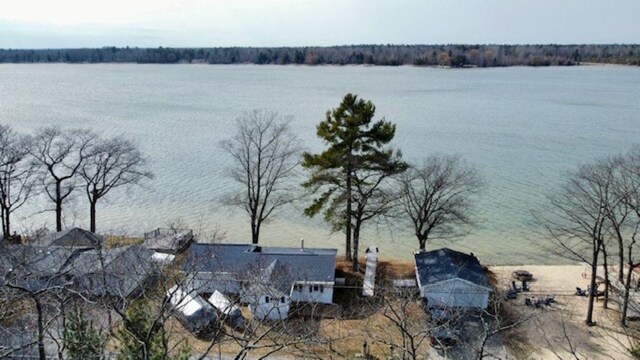 4432 E Cedar Lake Dr, Greenbush, MI 48738 - photo 32