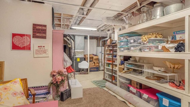 3820 Harbor Point Dr, Norton Shores, MI 49441 - storage room featuring heating unit and gas water heater