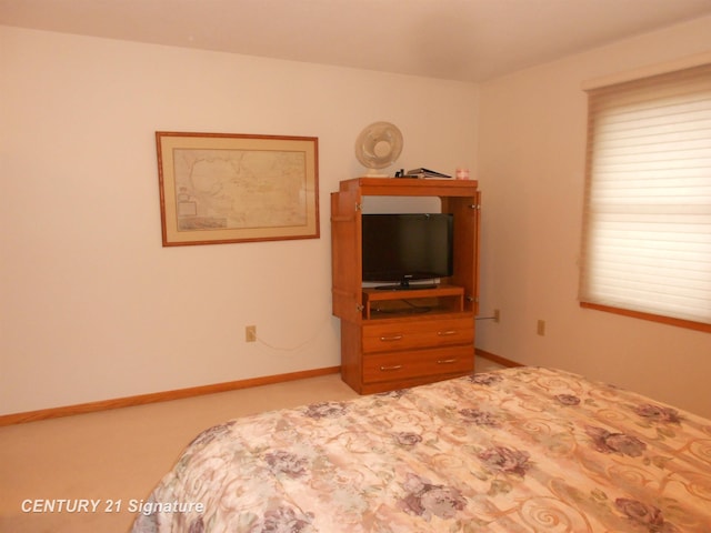 11377 Hillbridge Ct, Freeland, MI 48623 - photo 21