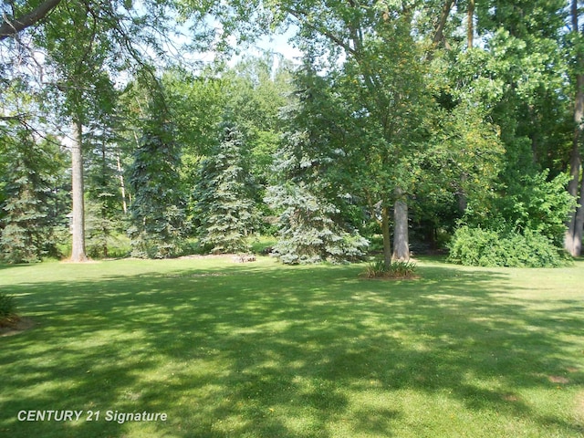 11377 Hillbridge Ct, Freeland, MI 48623 - photo 40