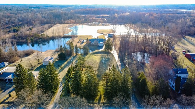 1405 S Sashabaw Rd, Ortonville, MI 48462 - birds eye view of property with a water view and a forest view