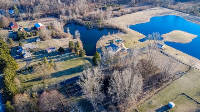 1405 S Sashabaw Rd, Ortonville, MI 48462 - birds eye view of property with a water view