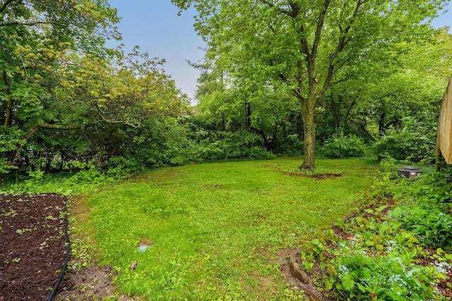 3620 Charter Pl, Ann Arbor, MI 48105 - view of green lawn