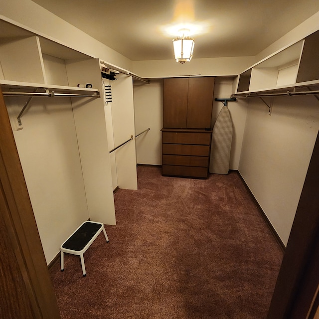 spacious closet featuring dark colored carpet