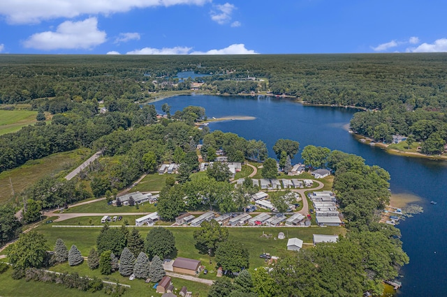bird's eye view featuring a water view and a forest view
