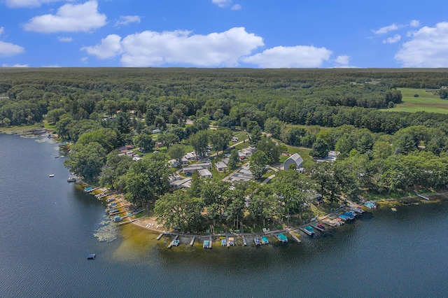birds eye view of property featuring a water view and a forest view