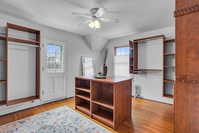 1515 W Franklin St, Jackson, MI 49203 - walk in closet featuring light wood finished floors and ceiling fan