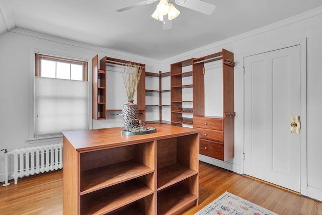 1515 W Franklin St, Jackson, MI 49203 - walk in closet with light wood-style flooring, a ceiling fan, and radiator