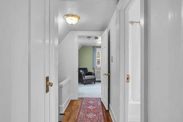 1515 W Franklin St, Jackson, MI 49203 - hallway with radiator heating unit, dark wood-style flooring, and lofted ceiling