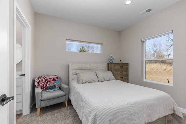 2084 W Fenwick Rd, Fenwick, MI 48834 - bedroom featuring carpet floors, recessed lighting, and visible vents