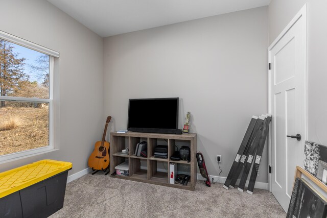 2084 W Fenwick Rd, Fenwick, MI 48834 - playroom featuring carpet flooring and baseboards