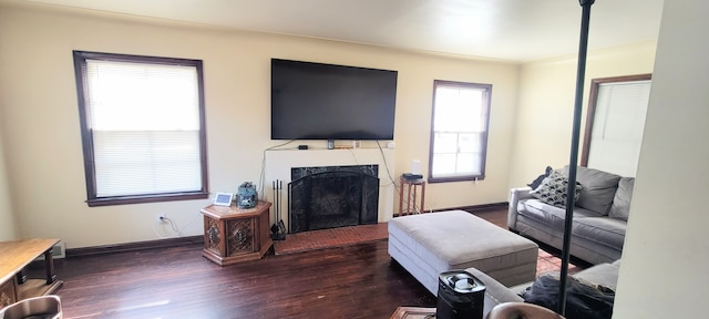 living area featuring a fireplace, wood finished floors, and baseboards