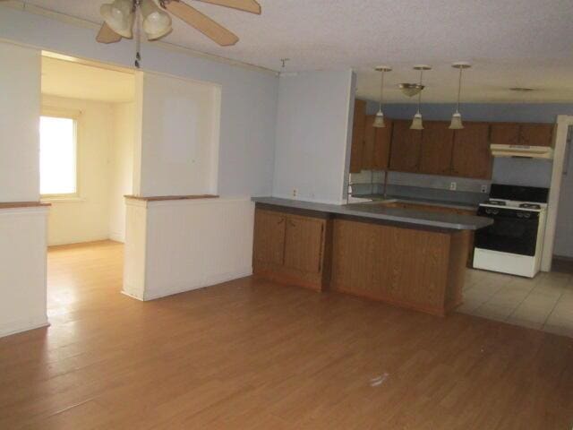 kitchen with light wood-style flooring, brown cabinetry, under cabinet range hood, and range