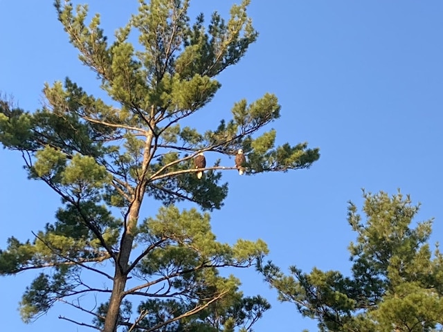 view of nature