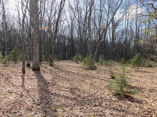view of nature with a forest view