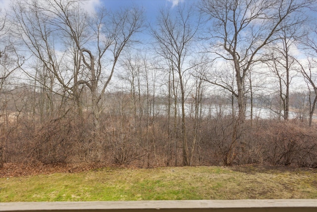 8074 Pepperwood Dr, Grand Blanc, MI 48439 - photo 54