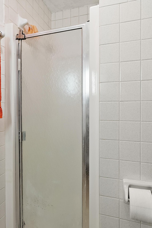 bathroom featuring a shower stall