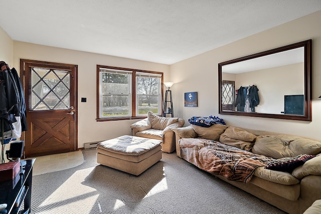 living area with carpet floors