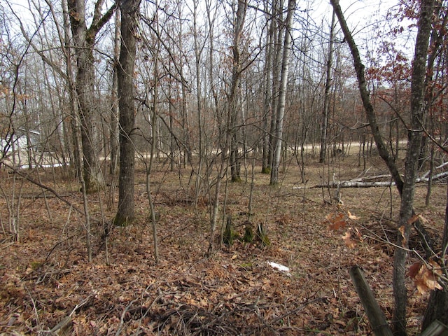 view of landscape