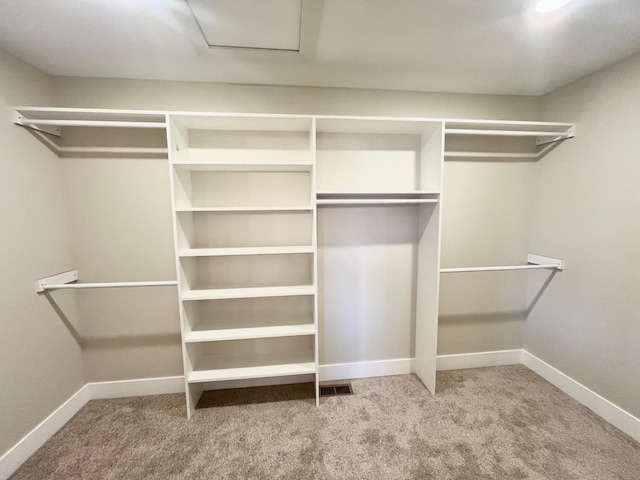 spacious closet featuring carpet flooring
