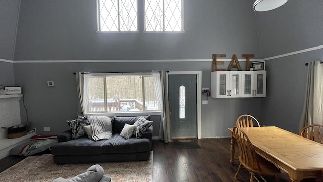 12181 Trail Creek Dr, Stanwood, MI 49346 - living area with dark wood-style floors and a towering ceiling